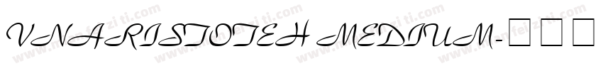 VnAristoteH Medium字体转换